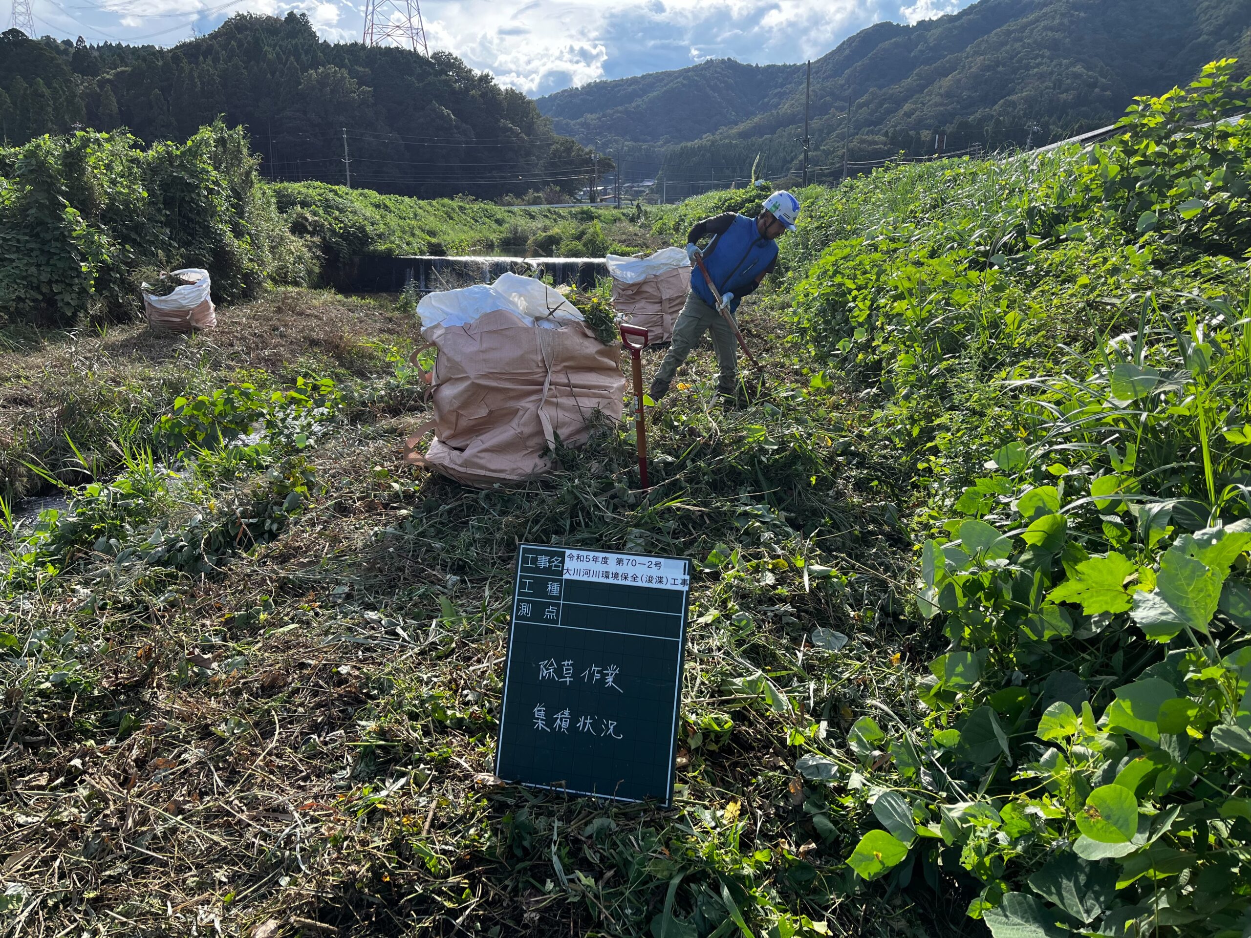 除草作業